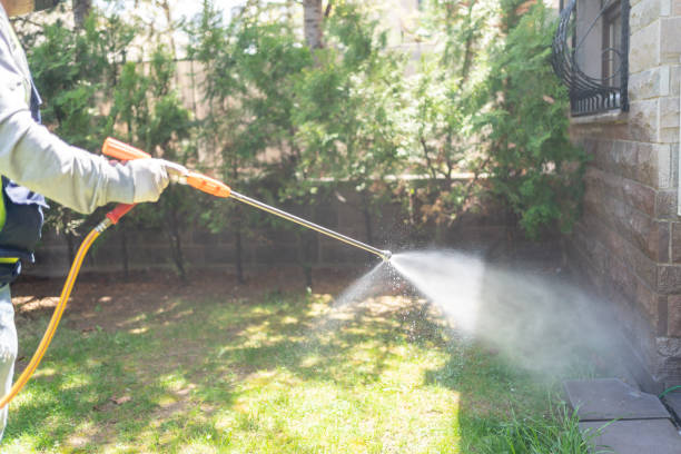 Best Fumigation Services  in Flower Mound, TX